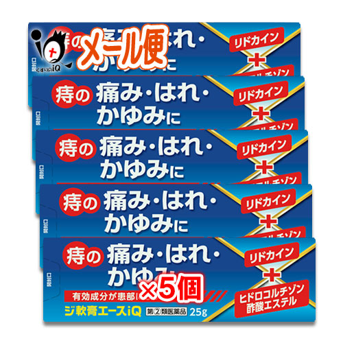 指定第2類医薬品 ジ軟膏エースiq 痔疾用薬 25g 5個セット はれ 中央製薬 かゆみに 痔の痛み