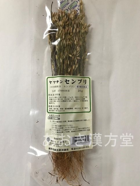 【10個仕掛ける】【第3類飲み薬】センブリ 20g 小島漢方 当薬 せんぶり茶 千振 生薬 尖んがり