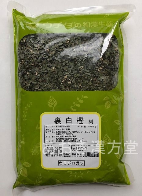 楽天市場】きらん草 生 500g 小島漢方 キラン草 きらんそう キランソウ