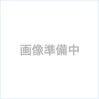 JPS漢方顆粒 ケンショトウ 小建中湯(しょうけんちゅうとう) 4.2g×210包