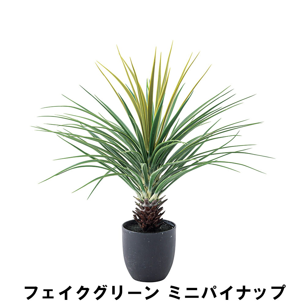 【値下げ】フェイクグリーン ミニパイナップル 幅61 奥行61 高さ67cm 造花 人工観葉植物 ガーデン ガーデン用品