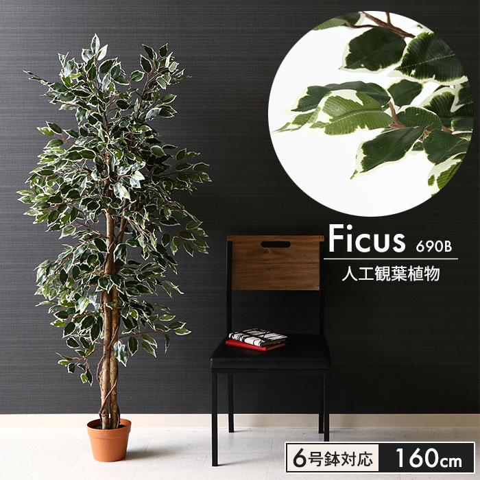 フェイクグリーン 人工 観葉植物 フィカス 高さ 160cm 6号鉢対応 造花 フェイク グリーン シンプル オフィス おしゃれ 観葉 植物 鉢植え インテリア 大型 高い 大きい 室内 鉢 お手入れ 不要 間仕切り 目隠し リビング 高品質