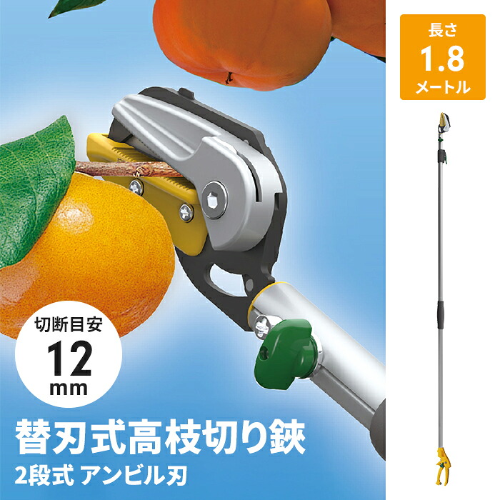 【値下げ】高枝切りバサミ 1.8～3m 2段式 13段伸縮 高枝切り はさみ キャッチ機能 アンビル刃 薄刃 刃交換可 枝切り 果実採り