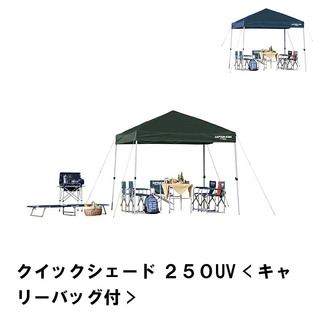 楽天市場】タープ テント 日よけ 4-6人用 ヘキサタープ 幅400