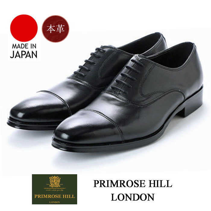 PRIMROSE HILL LONDON プリムローズヒル ロンドン 501 紳士靴 3E 紐付き 日本製 本革 【メンズ】 楽天市場】PRIMROSE HILL LONDON プリムローズヒル ロンドン 501 紳士