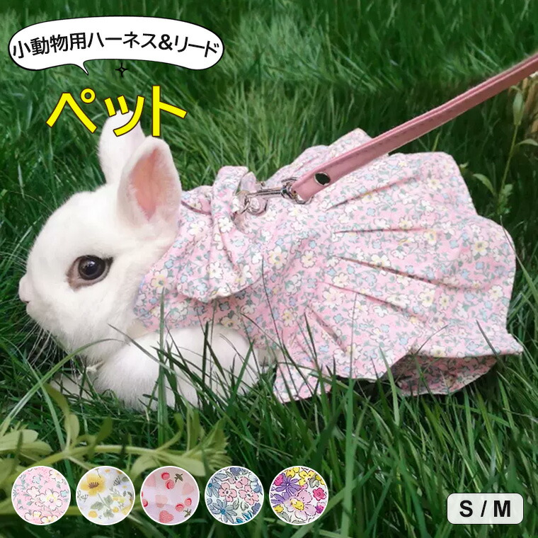 楽天市場】2個セット うさちゃん 子猫ちゃんにぴったり フィット