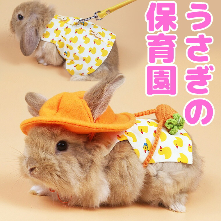 楽天市場】うさちゃん専用 あご乗せ枕 ふわふわベッド ペット 楽天市場】うさちゃん専用 あご乗せ枕 ふわふわベッド ペット