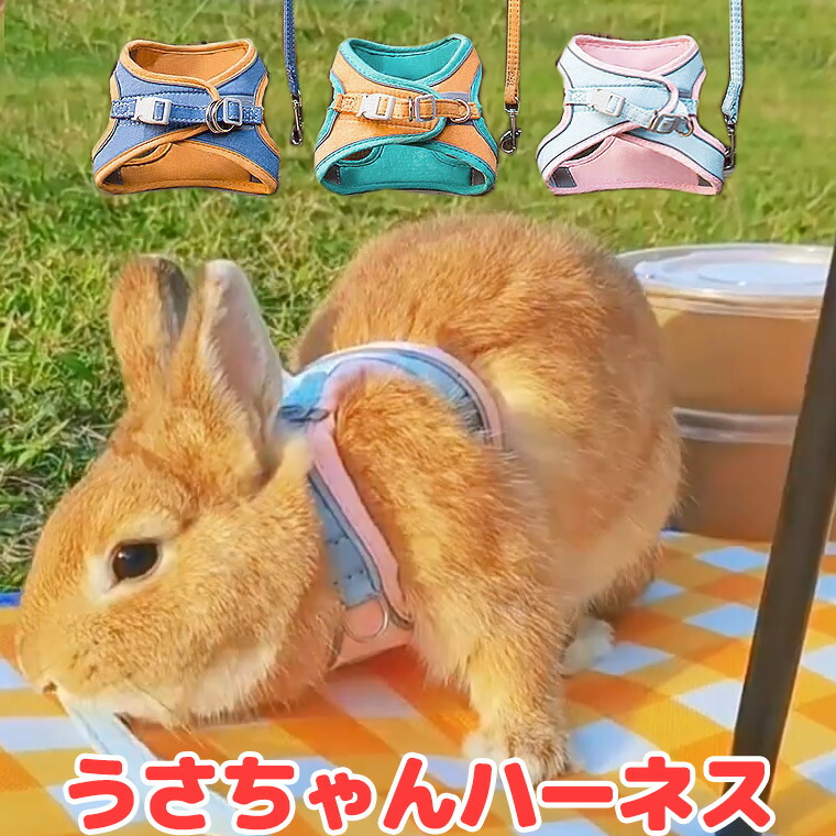楽天市場 | chouchouうさぎ用品大阪楽天市場店 - うさぎ用の