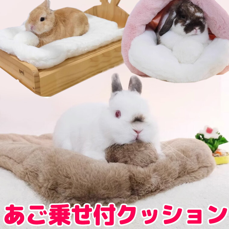 楽天市場】2個セット うさちゃん 子猫ちゃんにぴったり フィット