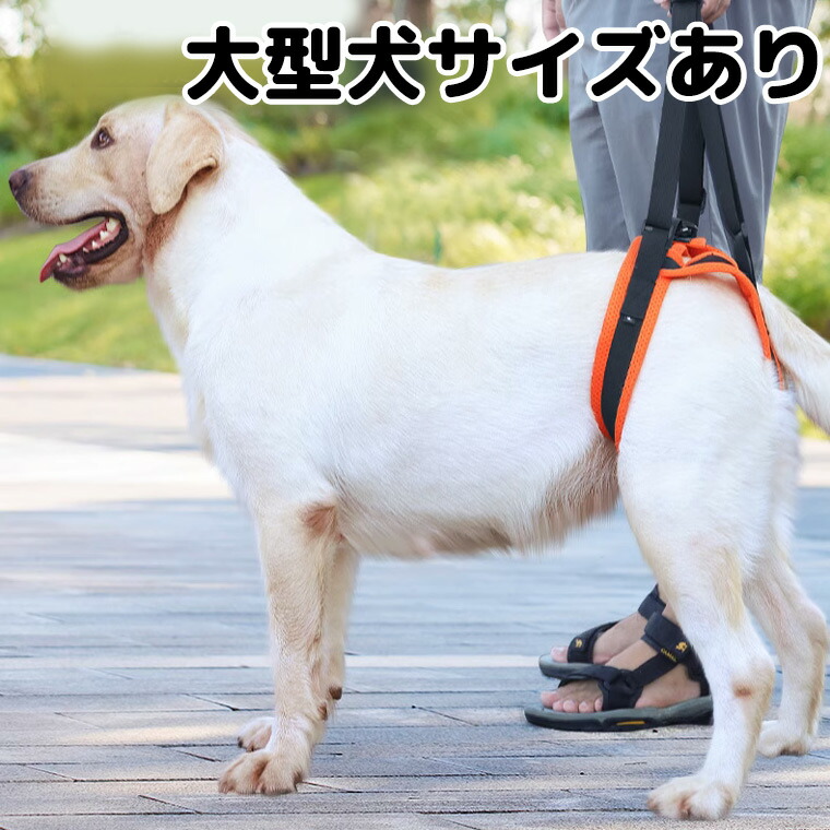 つかいふるしのいぬ 中古】 シェパード犬の飼い方 (愛犬12カ月シリーズ) / 愛犬の友