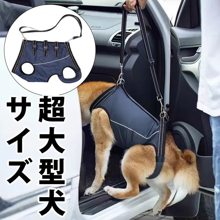 楽天市場】超大型犬サイズあり 通年使える 全体支える 歩行補助ベルト