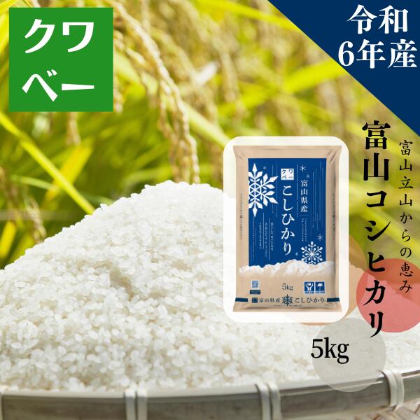 楽天市場】新米 米10kg 令和7年産 富山県産コシヒカリ 精米 白米