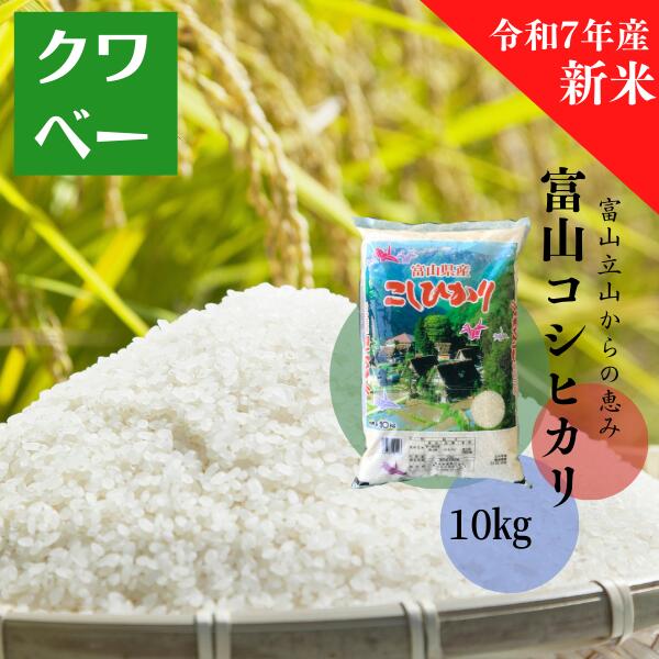 楽天市場】富山県産コシヒカリ玄米(一等米)10kg【令和7年度産】【新米 楽天市場】富山県産コシヒカリ玄米(一等米)10kg【令和7年度産】【新米