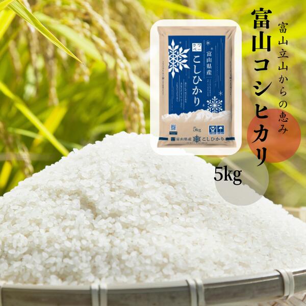 楽天市場】米5kg 令和6年産 送料無料 三重県産 伊賀産コシヒカリ 楽天市場】米5kg 令和6年産 送料無料 三重県産 伊賀産コシヒカリ