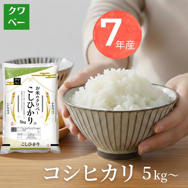 【クーポン利用で￥3,054～】令和7年産 コシヒカリ 5kg 10kg 15kg 送料無料 精米 白米 国内産 米屋 甘い 日付指定 【粘り バランス 定食 ご飯 ハンバーグ とんかつ 早い 硬くなりにくい