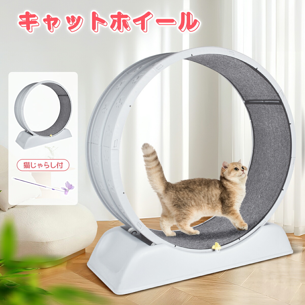 楽天市場】キャットホイール ルームランナー 猫用 ランニングホイール
