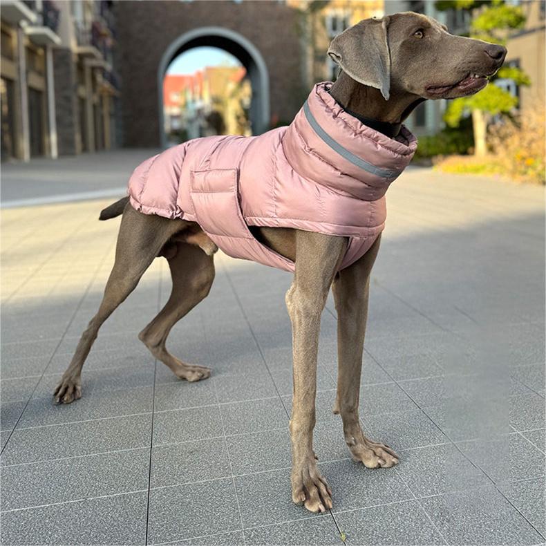 楽天市場】犬服 犬猫冬服 ペットスキーウェア 犬コート防寒
