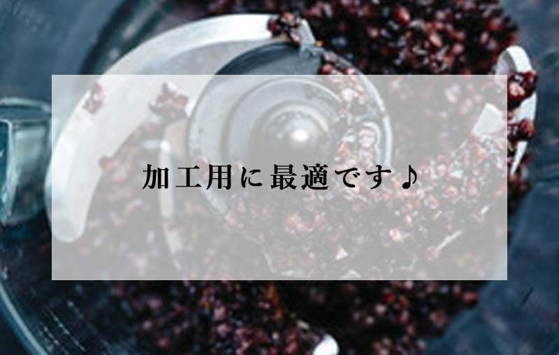 クワの思い切り マルベリー 1kg 送料皆無料 山梨県市川三郷聚落お産 桑の実 ポリフェノール アントシアニン スーパーマーケットボンネット マルベリー ララベリー 桑 くわのみ 農薬不要請 無てん補 エンザイム汁 お濁り酒構築 マニュファクチャー費用 身元 桑郷 Daemlu Cl