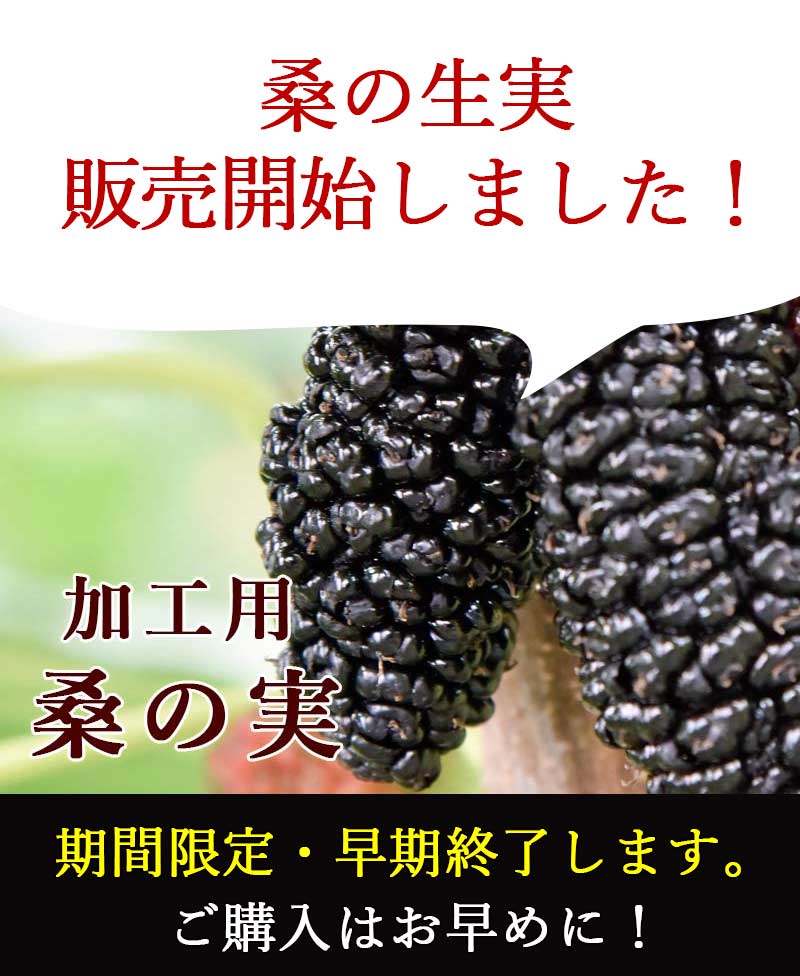 クワの思い切り マルベリー 1kg 送料皆無料 山梨県市川三郷聚落お産 桑の実 ポリフェノール アントシアニン スーパーマーケットボンネット マルベリー ララベリー 桑 くわのみ 農薬不要請 無てん補 エンザイム汁 お濁り酒構築 マニュファクチャー費用 身元 桑郷 Daemlu Cl