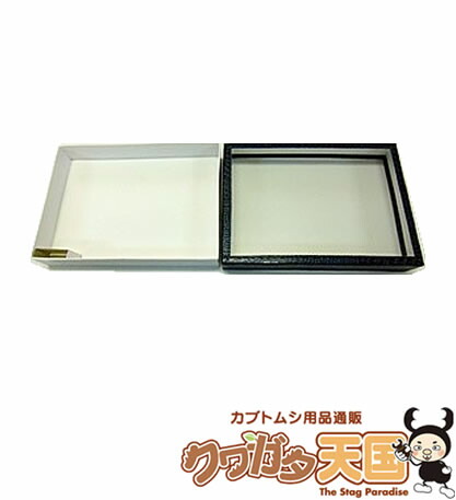 ボール紙製、ガラス蓋付昆虫標本箱　ボール紙製標本箱　特大型