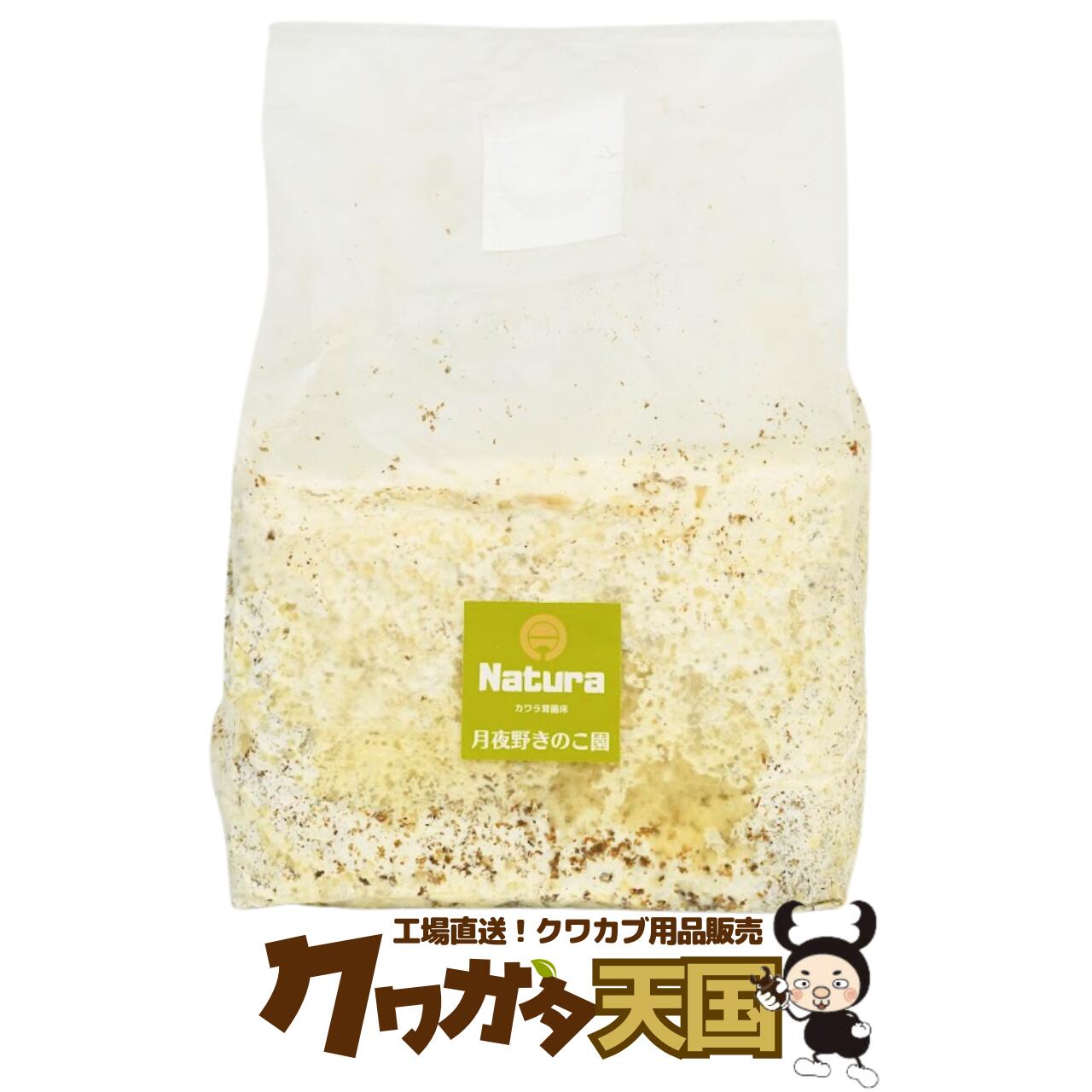 メーカー直送 高濃度 / オオクワガタ 菌糸瓶 E800 - 8本 高品質 昆虫用品