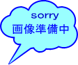 【ＫＶＫ堅苦しさ】【Ｚ９２９】ソケット