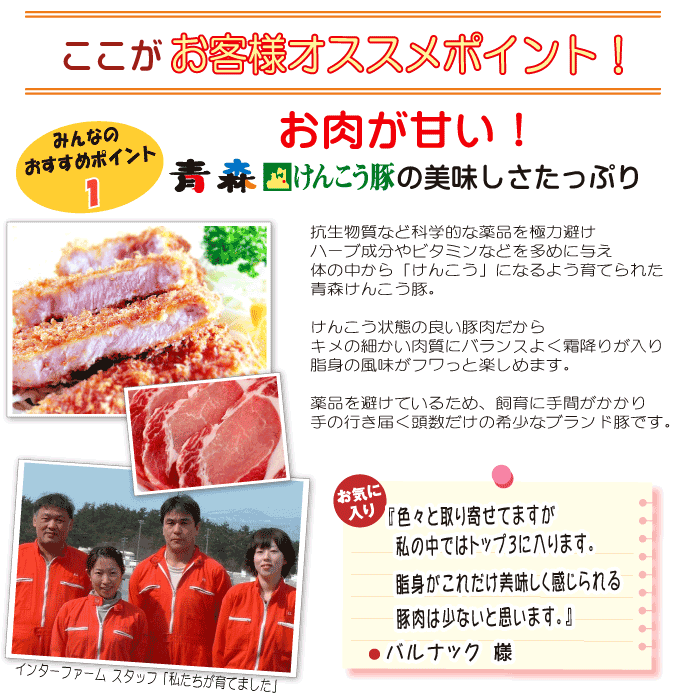 メーカー直送】 ギフト 肉 送料無料 けんこう 豚 ロース とんかつ 20枚 国産 出産 内祝い 母の日 父の日 お取り寄せグルメ 出産内祝い 食べ物  結婚内祝い 冷凍 グルメ お肉 肉の日 食品