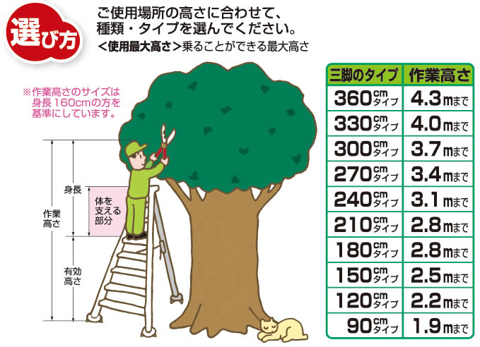 国産 楽天市場 園芸用三脚361cm 12尺 あっと解消 楽天市場店 開店祝い Blog Belasartes Br
