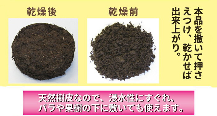特徴