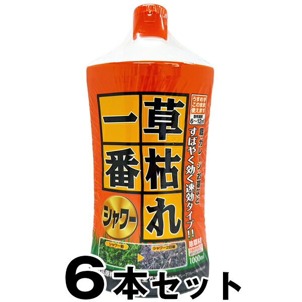 除草剤 【草枯れ一番シャワー 1000ml　×６本セット】 GSE 天日塩