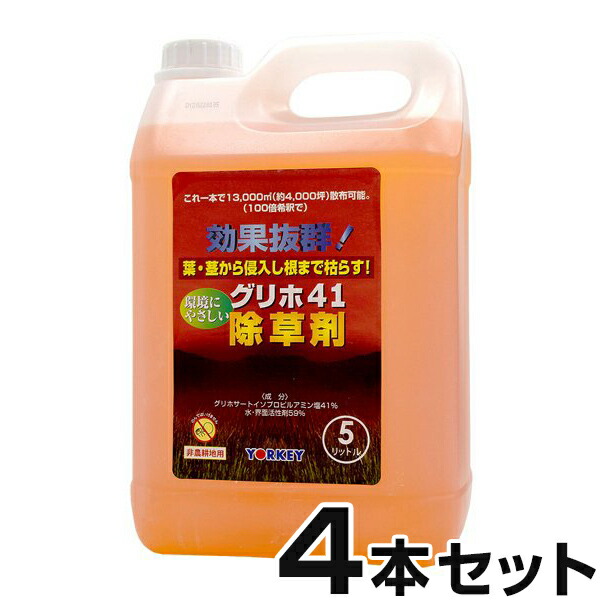 福袋 ワイズライフYahoo 店まとめ買い 4本入 ゴーオン 5L ハート