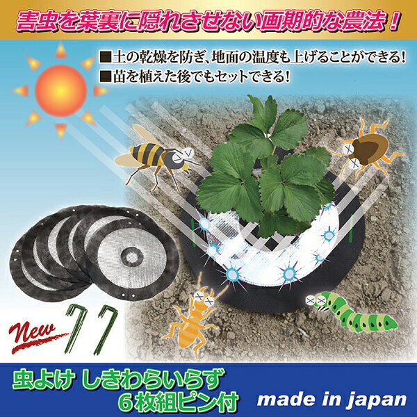 受賞店舗 楽天市場 虫よけ しきわらいらず ６枚組ピン付 6セット 苗 畑 害虫 対策 代引不可 あっと解消 楽天市場店 驚きの安さ Lexusoman Com