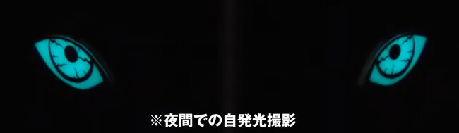 いの用心は目の部分が夜間に自発光します