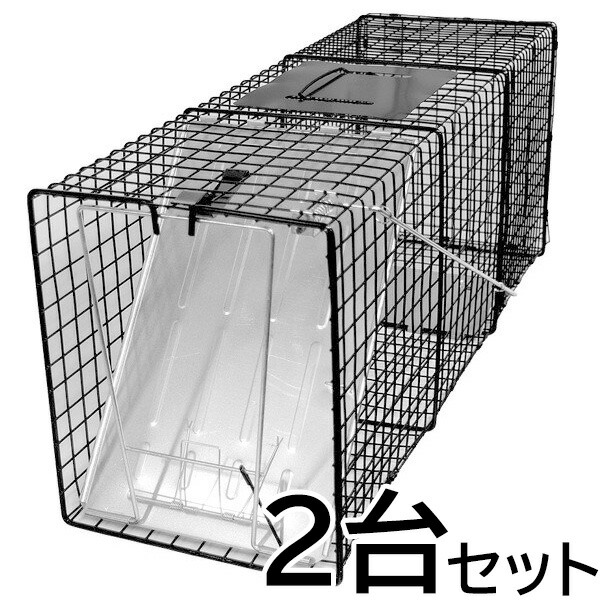 【踏み段式 取り押さえる器 組みかえる型（黒いこと）２台書き割り】（W26×H31×D81珊） アライグマ ハクビシン 打つ手