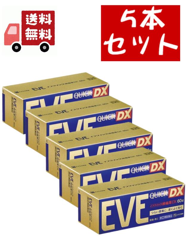 貨物輸送無料 5個仕掛ける 前日クイック 気懸かり薬DX(セルフメディケーション税制客体)(60錠入)