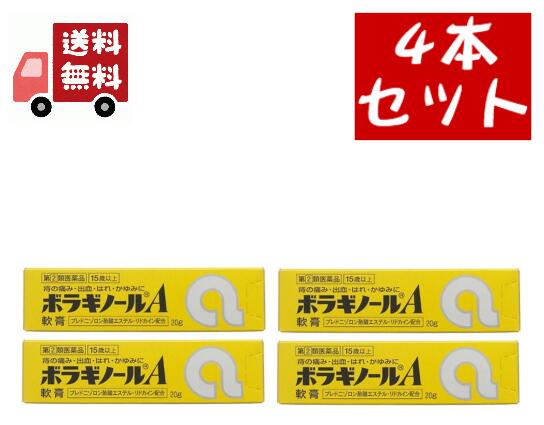 送料無料 4個セット 第 類医薬品 ボラギノールa軟膏 2