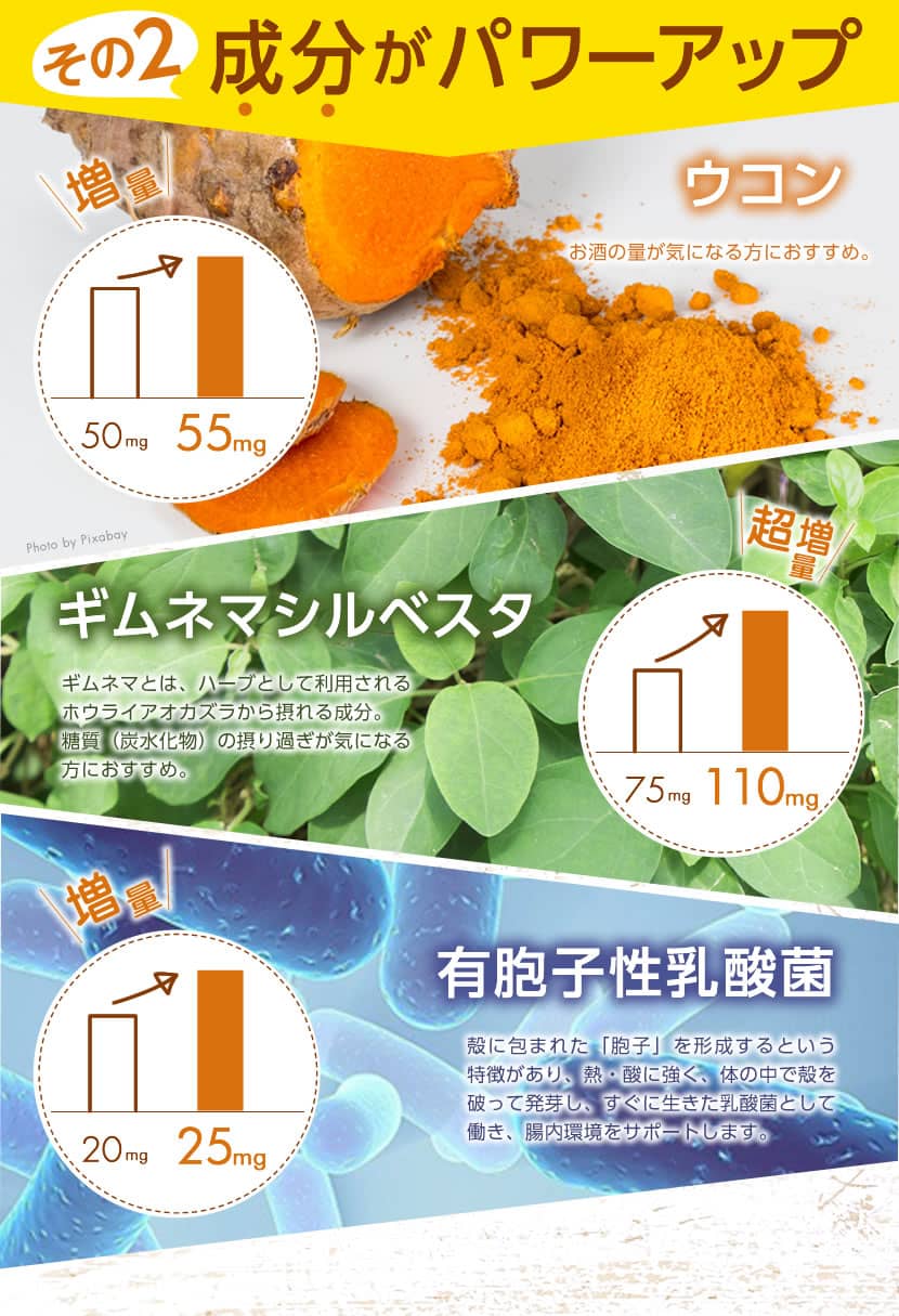 市場 送料無料 ギムネマ 玄米 公式 新発売 消化酵素 分解 有胞子性乳酸菌 夜遅いごはんでも お酒 新谷酵素 ウコン 難消化性デキストリン 大盛+  酵母