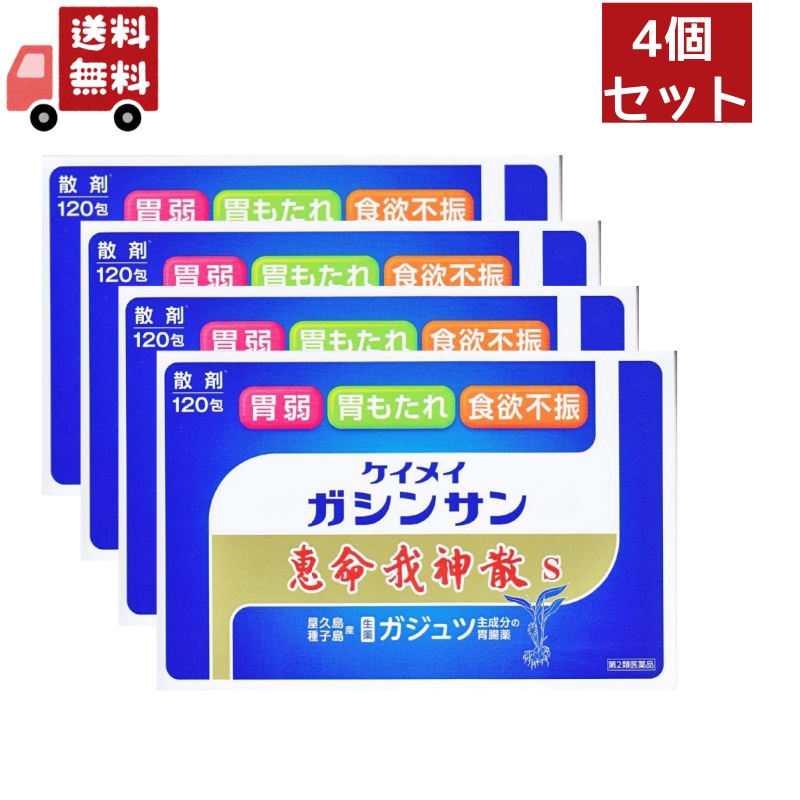 送料無料 4個セット【第2類医薬品】恵命我神散散剤３Ｇ×１２０包×4個セット　胃腸薬　食欲不振　胃部・腹部膨満感　消化不良　胃弱　食べ過ぎ　飲み過ぎ　胸やけ　胃もたれ　胸つかえ　はきけ