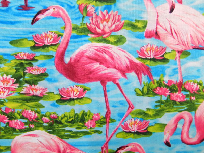 楽天市場 C1710 輸入 Usaコットン 生地 布 フラミンゴ ｃ１７１０turq 入園入学 鳥 トリ ベニヅル 紅鶴 タイムレストレジャーズ Flamingos 商用利用可能 京都カナリヤ手芸店
