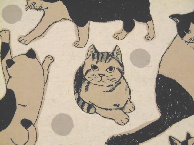 楽天市場】オックス生地 小生意気な黒猫 AP52101