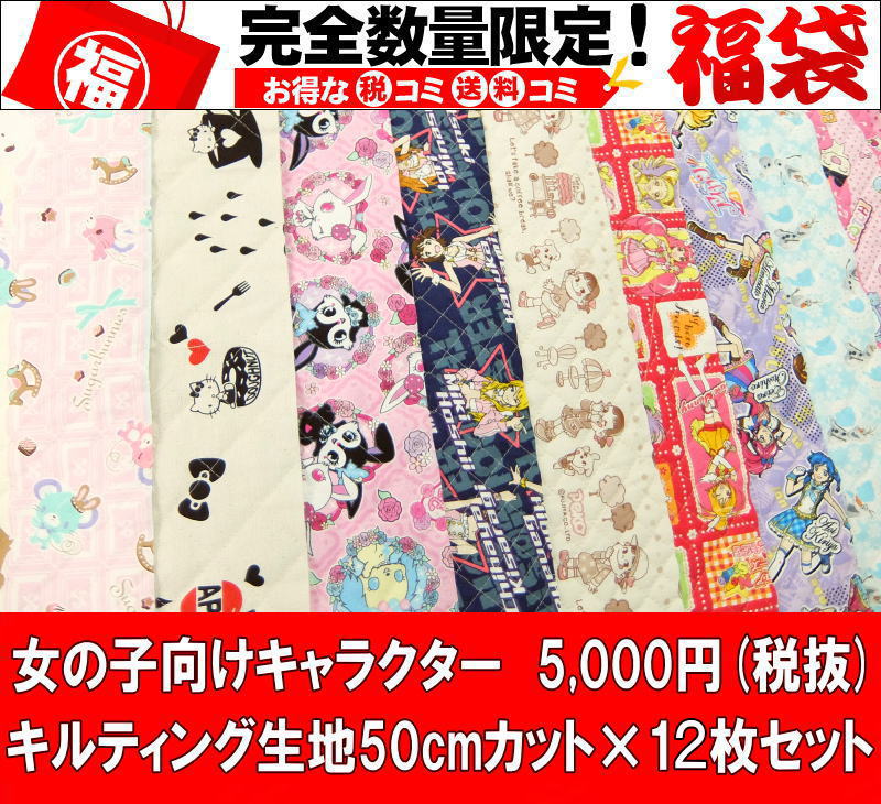 福嚢 キャラクター キルティング布切れ メッチェンからだ付き 50cmシーン 枚あがり口 国内宅配書状貨物輸送無料 入園入る 習い事嚢 ジムナスチックス参着入れ ポウチ袋に Atkisson Com