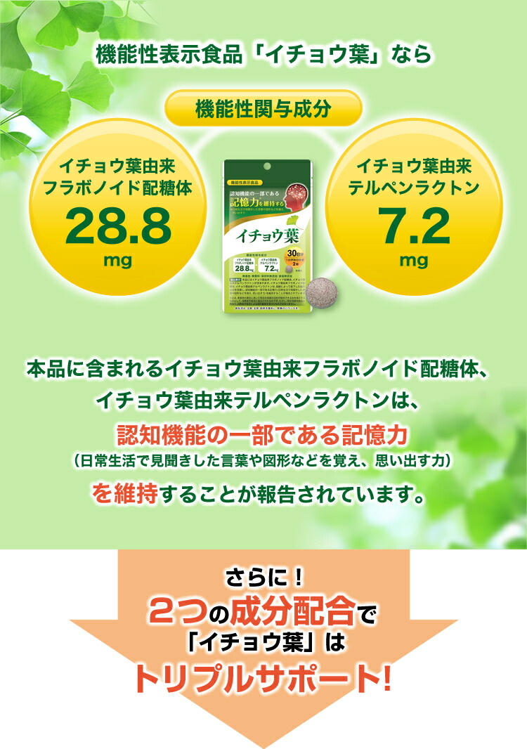 市場 公式 国内製造 フラボノイド いちょう イチョウ葉サプリメント 機能性表示食品 サプリ 1袋60粒×3袋：約3カ月分 イチョウ葉エキス