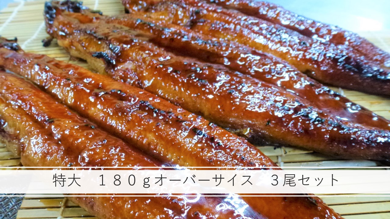 楽天市場】送料無料！ 無頭 背開き 炭火手焼きうなぎ 蒲焼 (長焼き) ３