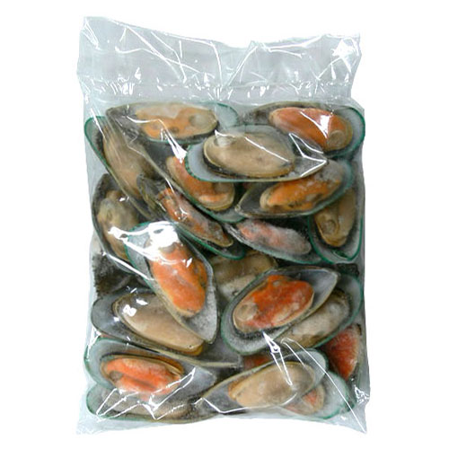 kyodai Greenshell Mussels (with specimen seashells) frozen New Zealand