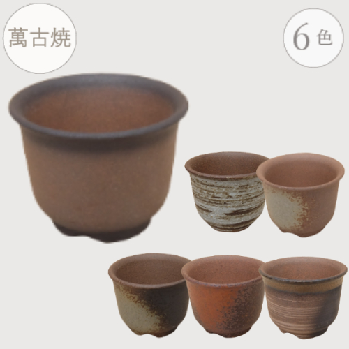 楽天市場】【15%OFF】セール 和鉢 盆栽 ミニ盆栽 [172-153] 植木鉢