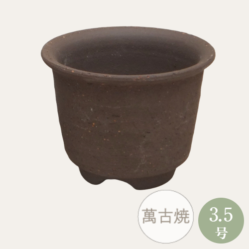 楽天市場】【15%OFF】 和鉢 盆栽 ミニ盆栽 [172-152] 植木鉢 和風 陶器