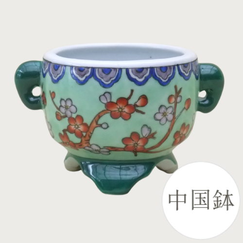 大型　広東鉢　盆栽鉢 楽天市場】【セール】和鉢 盆栽鉢 中国鉢 (広東省梅州製) [980