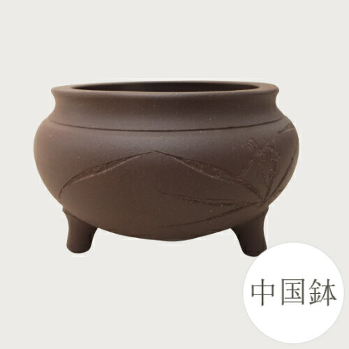 楽天市場】【良品 アウトレットセール】和鉢 盆栽鉢 中国鉢