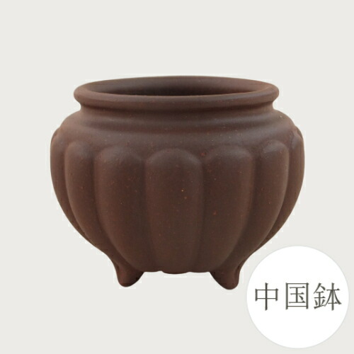 300 盆栽　盆栽鉢　植木鉢　中国鉢 981-0311_2022.jpg
