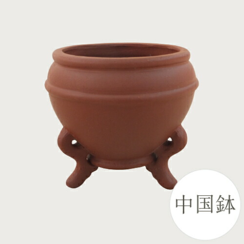 盆栽鉢　　　中国鉢　　　早い者勝ち 楽天市場】【良品 アウトレットセール】和鉢 盆栽鉢 中国鉢